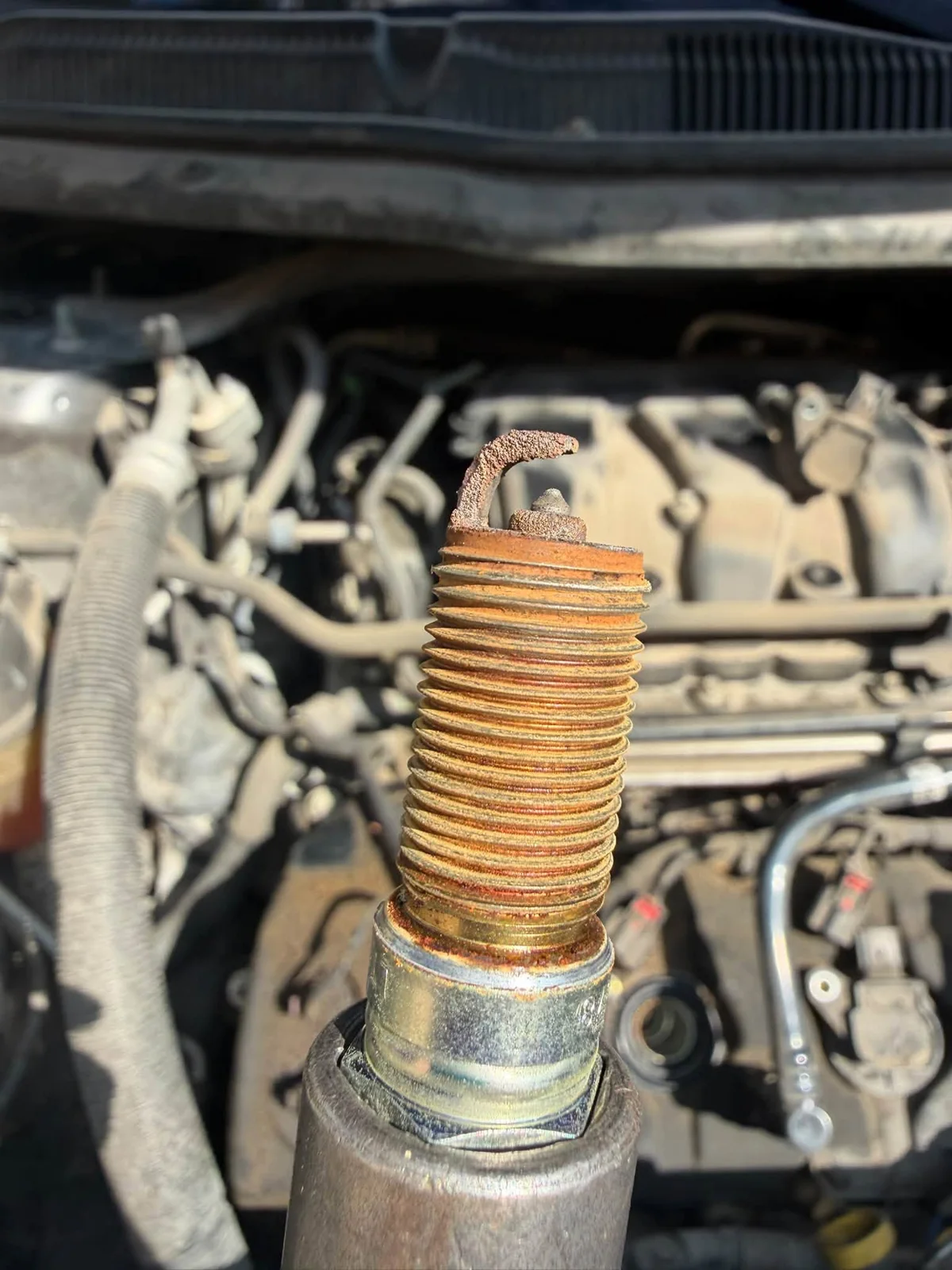 Maintenance detail — uploaded Down South Motorsports photo